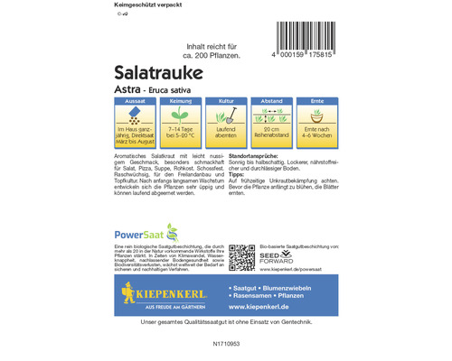 Salatrauke ''Astra'' Saatgutpackung mit Informationen zu Aussaat, Keimung, Kultur, Abstand und Ernte