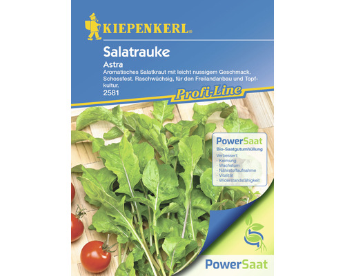 Roquette Astra Kiepenkerl PowerSaat graines de salade stables