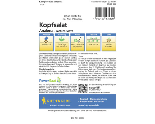 Sachet de graines de laitue pommée Analena