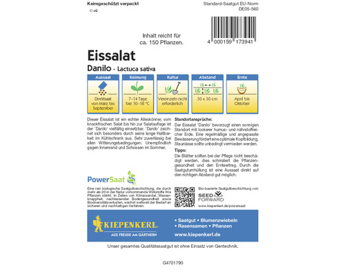 Laitue iceberg Danilo, emballage de graines