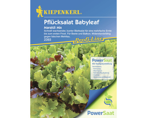Pflücksalat Babyleaf Mix Kiepenkerl PowerSaat Samenfestes Saatgut Salatsamen