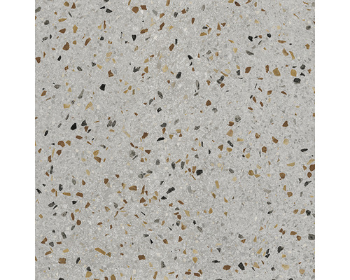 Feinsteinzeug Terrassenplatte Terrazzo Grigio rektifizierte Kante 60,6 x 60,6 x 2 cm