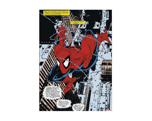 Tableau sur toile Spiderman Comic 50x70 cm