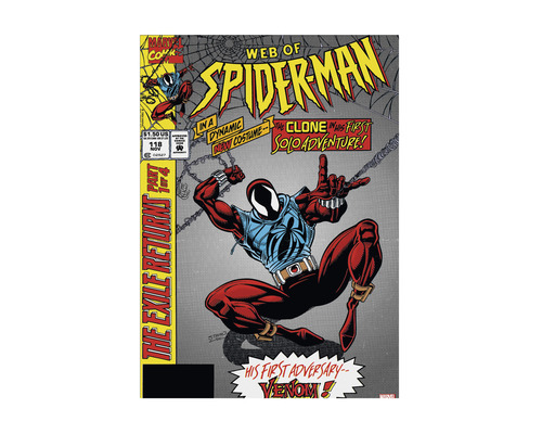 Tableau sur toile Web of Spiderman 50x70 cm
