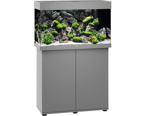 Kit complet d'aquarium Juwel Rio 125 LED SBX avec éclairage LED, chauffage, filtre et meuble bas gris