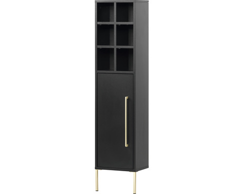 Armoire avec porte, compartiments et pieds