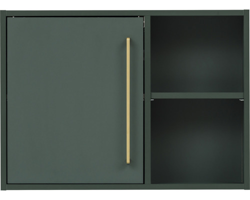 Armoire suspendue Möbelpartner Kent couleur de façade vert 66,8 x 48,4 x 16 cm