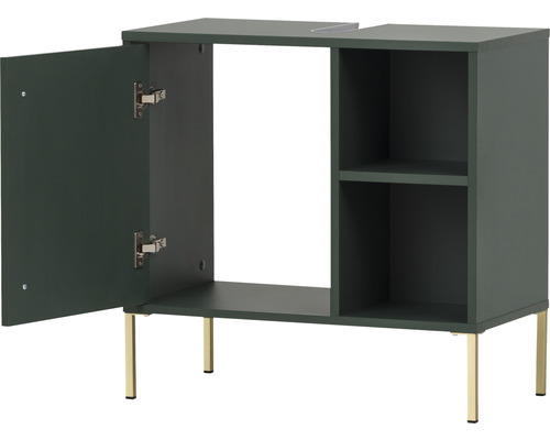 Meuble sous-vasque avec porte ouverte et étagères