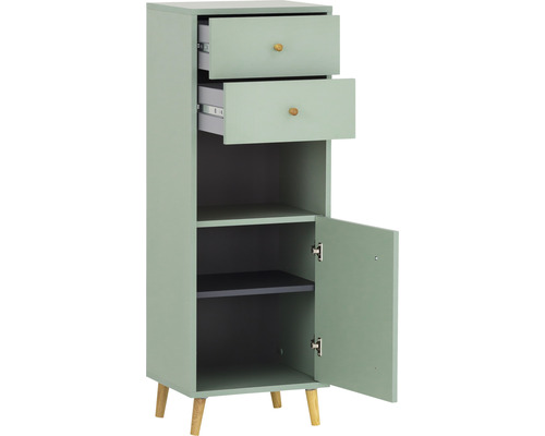 Armoire étroite avec deux tiroirs, une porte et deux étagères