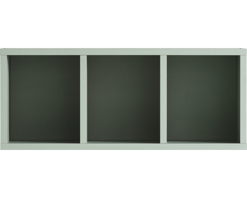 Hängeschrank Möbelpartner Bjarne BxHxT 60,2 x 24,7 cm x 21,5 cm Frontfarbe grün