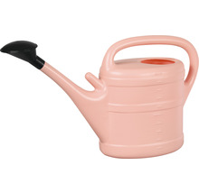 Gießkanne aus Kunststoff mit Brausekopf