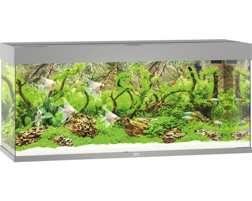 Aquarium Juwel Rio 240 avec éclairage LED, pompe, filtre, chauffage sans meuble bas gris