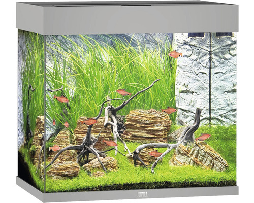 Aquarium Juwel Lido 120 avec éclairage LED, pompe, filtre, chauffage sans meuble bas gris