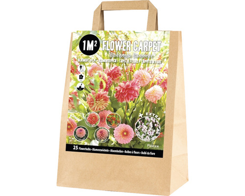 Blumenzwiebel-Mischung Blumenteppich für 1 m2 'Boehian Summer' mit Dahlie, Montbretie & Klebschwertel 25 Stk.
