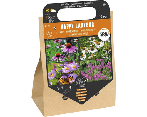 Mélange de bulbes 'Fleurs pour coccinelles' avec rudbeckia, alliums et asters 30 pces