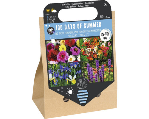 Mélange de bulbes et de rhizomes '100 days of summer' avec dahlias, sparaxis, iris hollandais et plumes du Kansas 50 pces