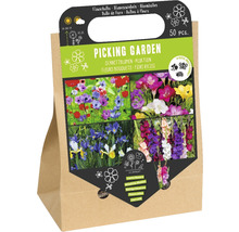 Verpackung Blumenzwiebeln für Schnittblumen