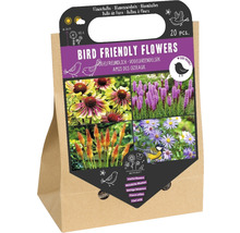 Verpackung Blumenzwiebeln vogelfreundliche Blumen, 20 Stück