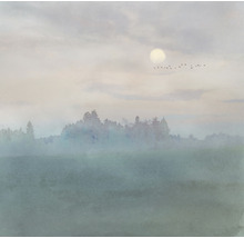 Paysage avec champ, arbres, brouillard, lune et vol d''oiseaux