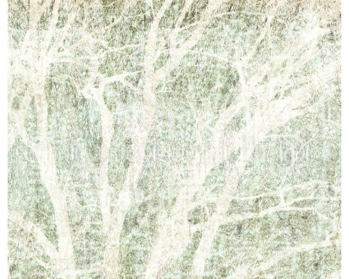 Papier peint panoramique intissé IF4-060 Infinity 2 Peaceful Place 4 pces 400 x 250 cm Illustration d''arbres et de branches