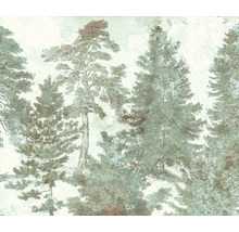 Illustration eines Waldes mit Nadelbäumen