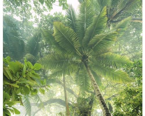 Papier peint panoramique intissé IFSH3-037 Climber Canopy 3 pces 300 x 250 cm Vue vers le haut à travers une forêt tropicale dense