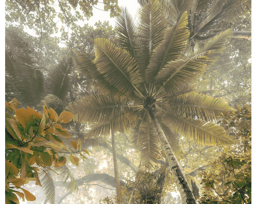 Papier peint panoramique intissé IFSH3-038 Palms Panorama 3 pces 300 x 250 cm Vue de dessous des palmiers et autres arbres dans le brouillard