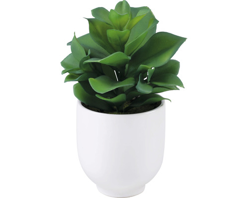 Plante artificielle dans pot céramique Lafiora succulente 22 cm