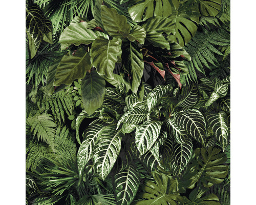 Papier peint dense de plantes tropicales avec des fougères et de grandes feuilles.