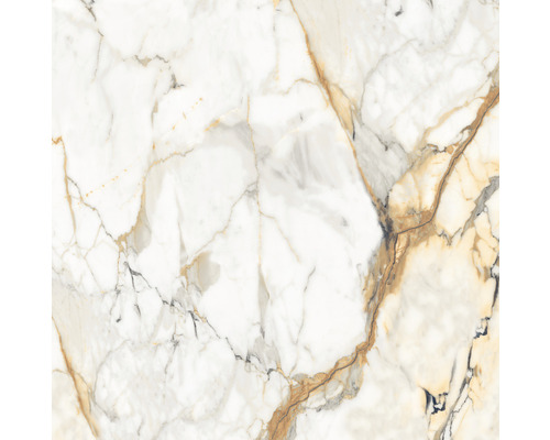 Marmorfliese mit natürlicher Maserung