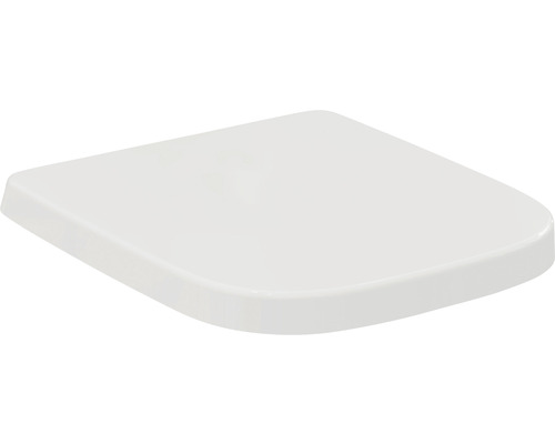 Toilettendeckel aus Kunststoff