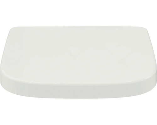 Toilettendeckel aus Kunststoff