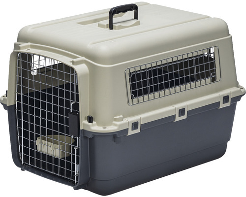 Cage de transport pour animaux de compagnie en plastique avec porte en métal grillagée et poignée