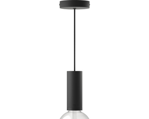 Cordon noir Philips Hue fixation pour lampe E27