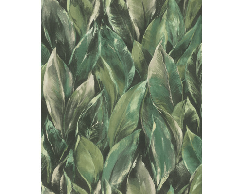 Papier peint intissé 537345 Curiosity feuilles vert Papier peint à motif de feuilles