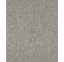 Papier peint intissé 538335 Curiosity nature gris