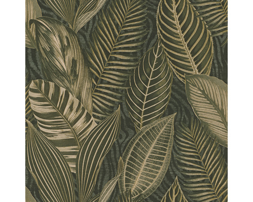 Papier peint intissé 751826 African Queen III feuilles vert Papier peint avec motif de feuilles