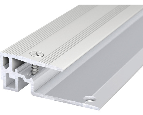 Abschlussprofil Aluminium Silber eloxiert 15x45x1000 mm Aluminium-Türdichtungsprofil mit Schraube