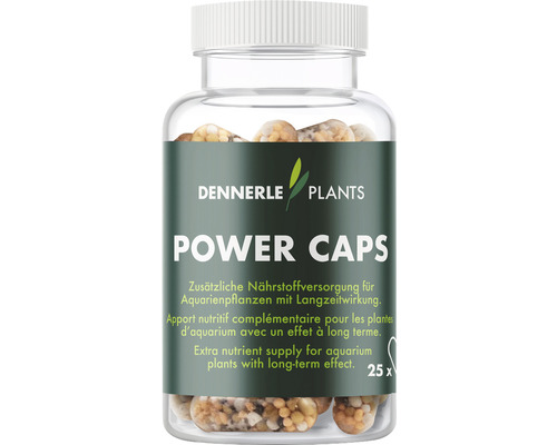 Engrais pour plantes d'aquarium DENNERLE PLANTS Power Caps 25 capsules engrais pour racines sous forme de capsules avec azote, phosphore, fer et micronutriments, capsules d'engrais