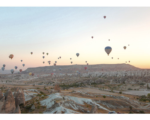 Paysage avec de nombreuses montgolfières dans le ciel.