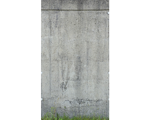 Fototapete Vlies 39255-1 The Wall II Betonaußenwand Gras Grau 3-tlg. 159 x 280 cm