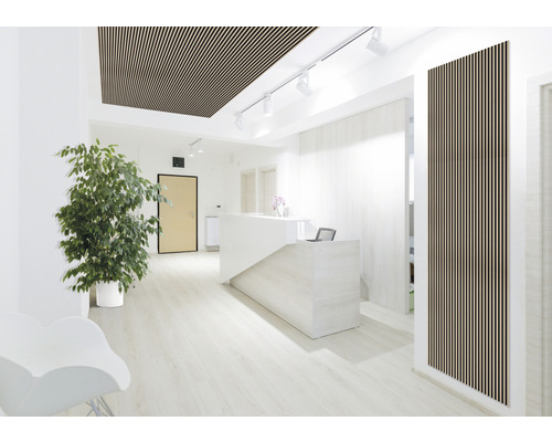 Heller Raum mit Holzlamellendecke und Wandpaneelen, Empfangstresen und Zimmerpflanze.