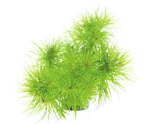 Plante aquatique artificielle pour aquariums