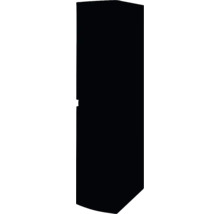 Armoire haute Baden Haus Vague couleur de façade noir mat mat 40 x 170 x 40 cm 55347