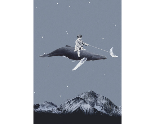 Carte postale Aim For The Moon 10,5x14,8 cm