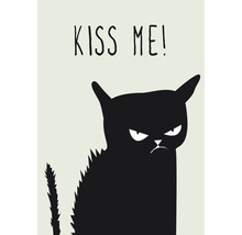 Illustration einer grimmigen Katze mit der Aufschrift ''Küss mich!''