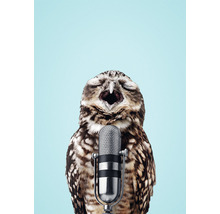 Chouette avec le bec ouvert devant un microphone