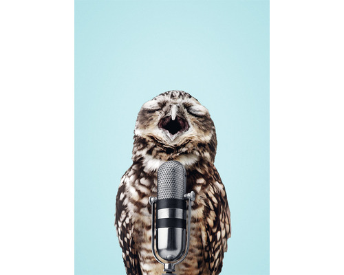 Chouette avec le bec ouvert devant un microphone