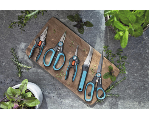 Sécateurs et couteau de jardin Gardena sur planche en bois avec herbes aromatiques