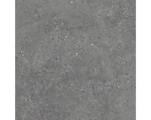 Dalle de terrasse en grès cérame fin Rock Graphite bord rectifié 60 cm x 60 cm x 2 cm Carreau de sol gris avec motif de pierre